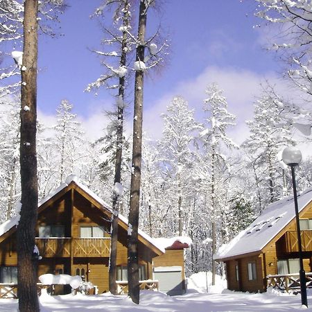 Log Cottage Epoch Хакуба Екстериор снимка